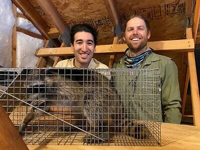 Huntsville pest control